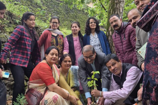 वनस्पति विज्ञान विभाग में लगाए तेज पत्ता एवं पाम के पौधे।